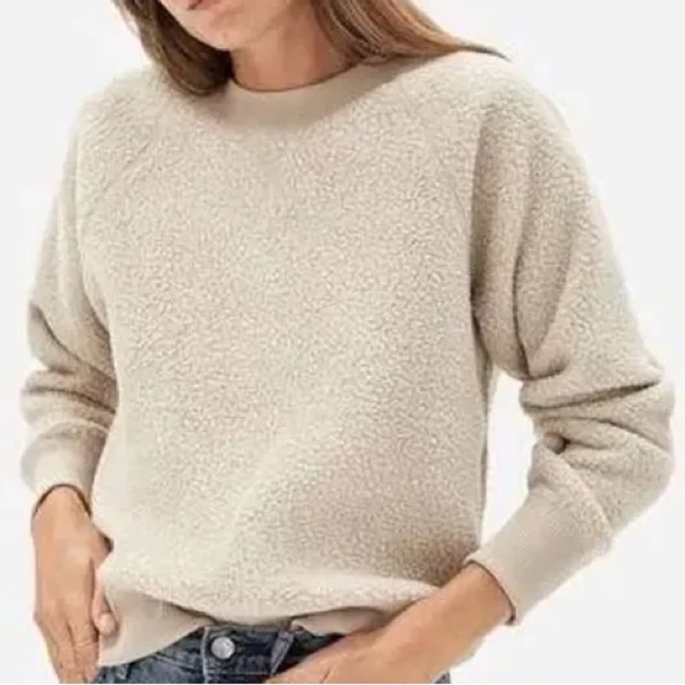 Everlane ReNew Fleece Sweater